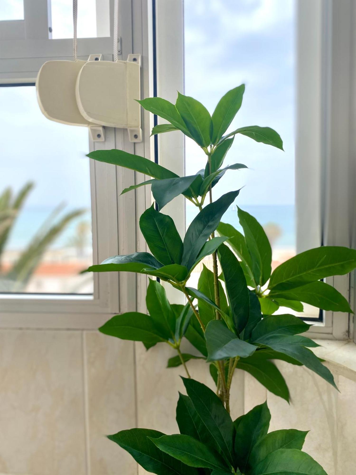 Apartamento Luz Del Mar Торрокс-Коста Экстерьер фото